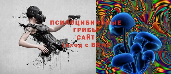 соль курить ск Белокуриха